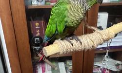 Featured image of post 未能控制好情绪的后果