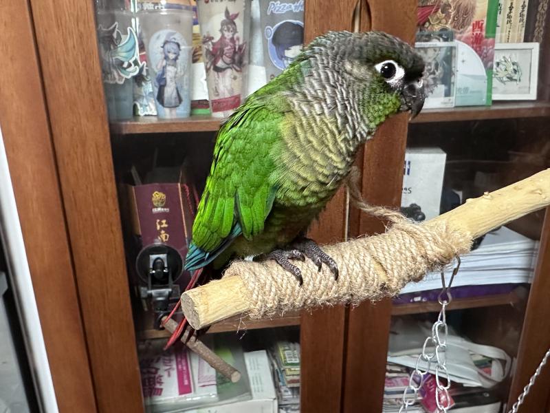 Featured image of post 未能控制好情绪的后果